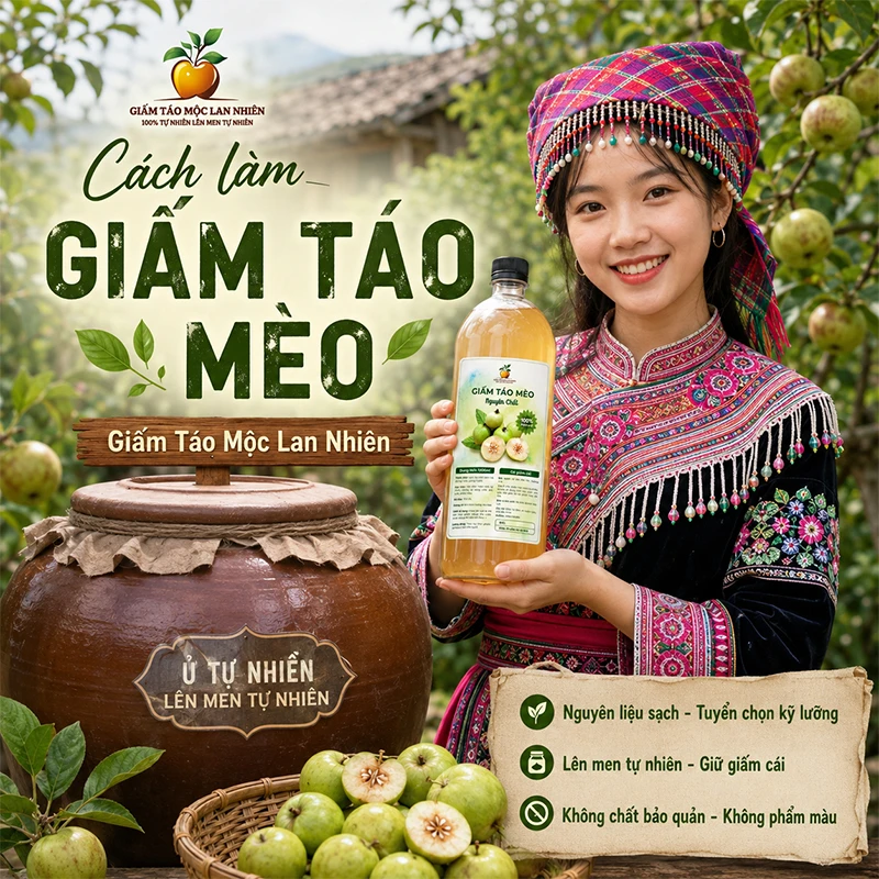 Cách làm giấm táo mèo