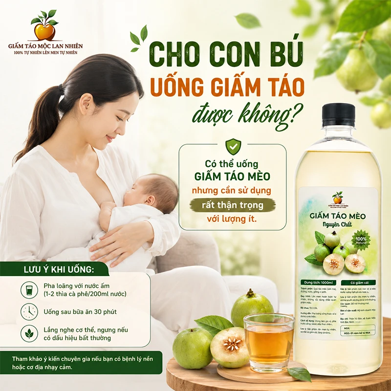 Cho con bú uống giấm táo được không