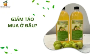 giấm táo mua ở đâu