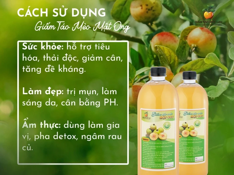 Giấm Táo Có Nấu Ăn Được Không? Gợi Ý Món Ngon Cùng Giấm Táo 4 Salad sử dụng giấm táo giúp tạo vị chua thay chanh