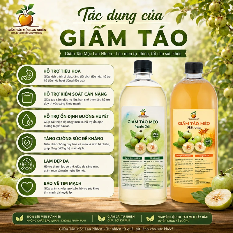 8+ Tác Dụng Của Giấm Táo Với Sức Khỏe Không Nên Bỏ Qua 1 Tác dụng của giấm táo