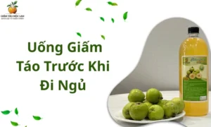 Uống giấm táo trước khi đi ngủ