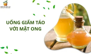 Uống Giấm Táo Với Mật Ong Có Tác Dụng Gì?
