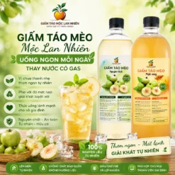 giam tao meo giai khat