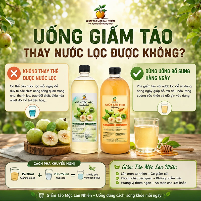 Uống giấm táo thay nước lọc được không