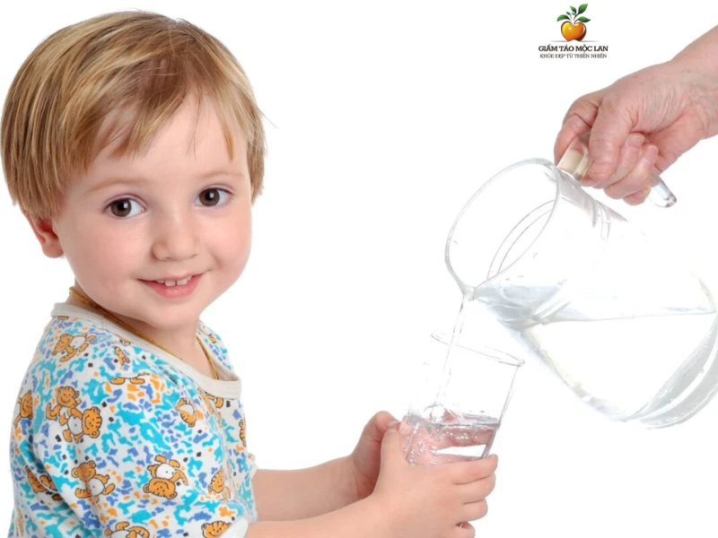 Giấm Táo Trẻ Em Uống Được Không? Lưu Ý Quan Trọng Khi Dùng 2 Giấm táo rất có lợi cho hệ tiêu hóa của trẻ nhỏ