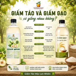 Giấm táo và giấm gạo có giống nhau không