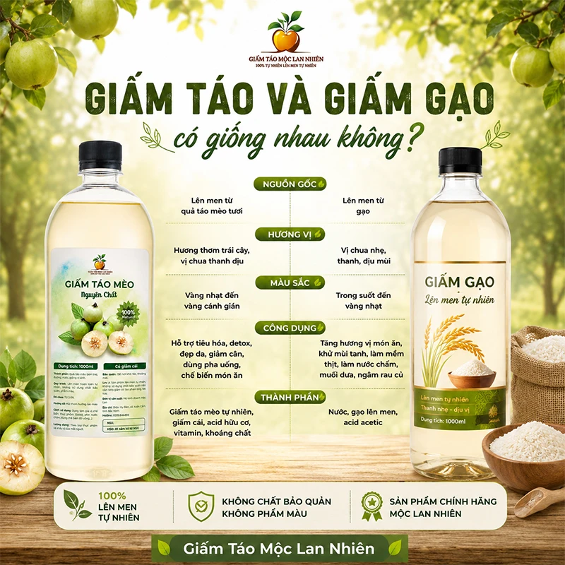Giấm táo và giấm gạo có giống nhau không