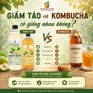 Giấm táo và kombucha có giống nhau không