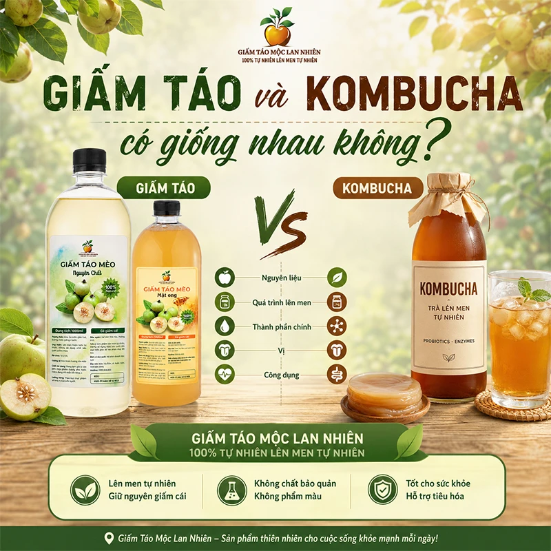 Giấm Táo Và Kombucha Có Giống Nhau Không? Nên Chọn Loại Nào Tốt? 1 Giấm táo và kombucha có giống nhau không