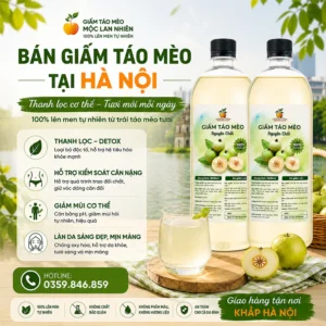 Bán giấm táo mèo tại Hà Nội