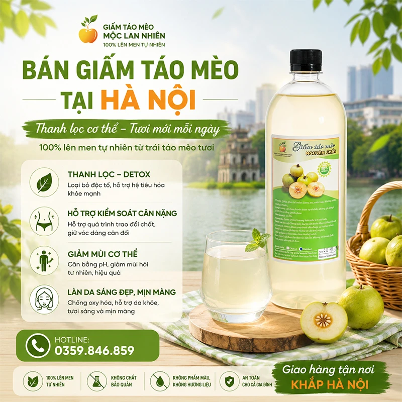Bán giấm táo mèo tại Hà Nội