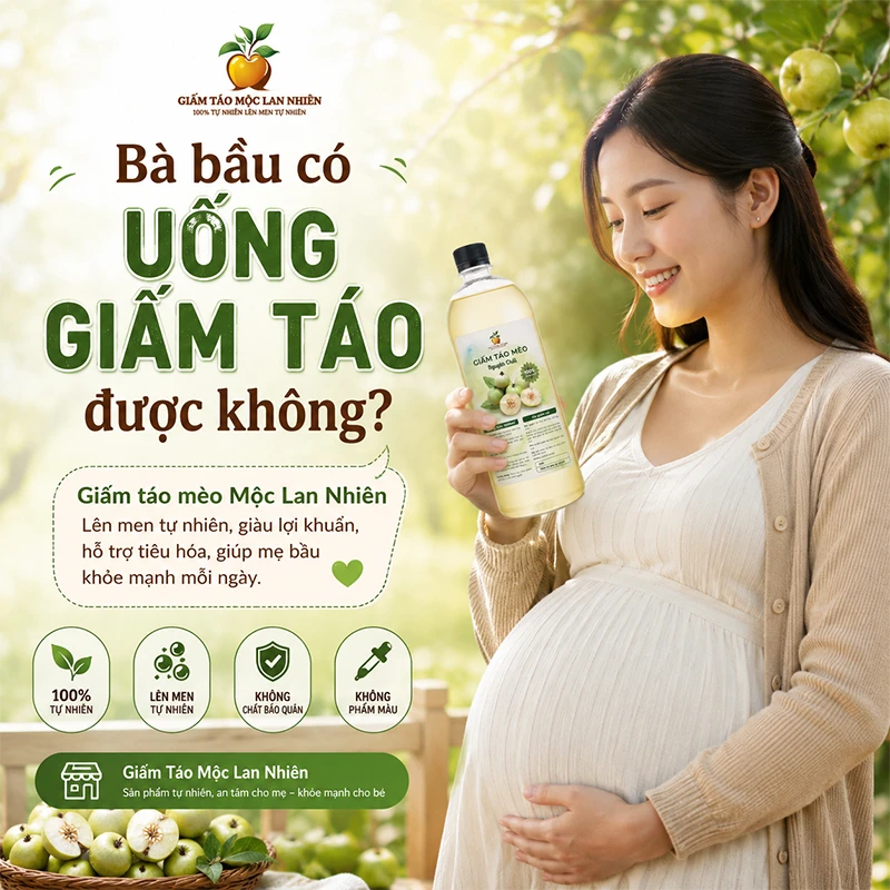 Bầu Uống Giấm Táo Được Không Và Những Lưu Ý Quan Trọng 1 Bầu có uống giấm táo được không