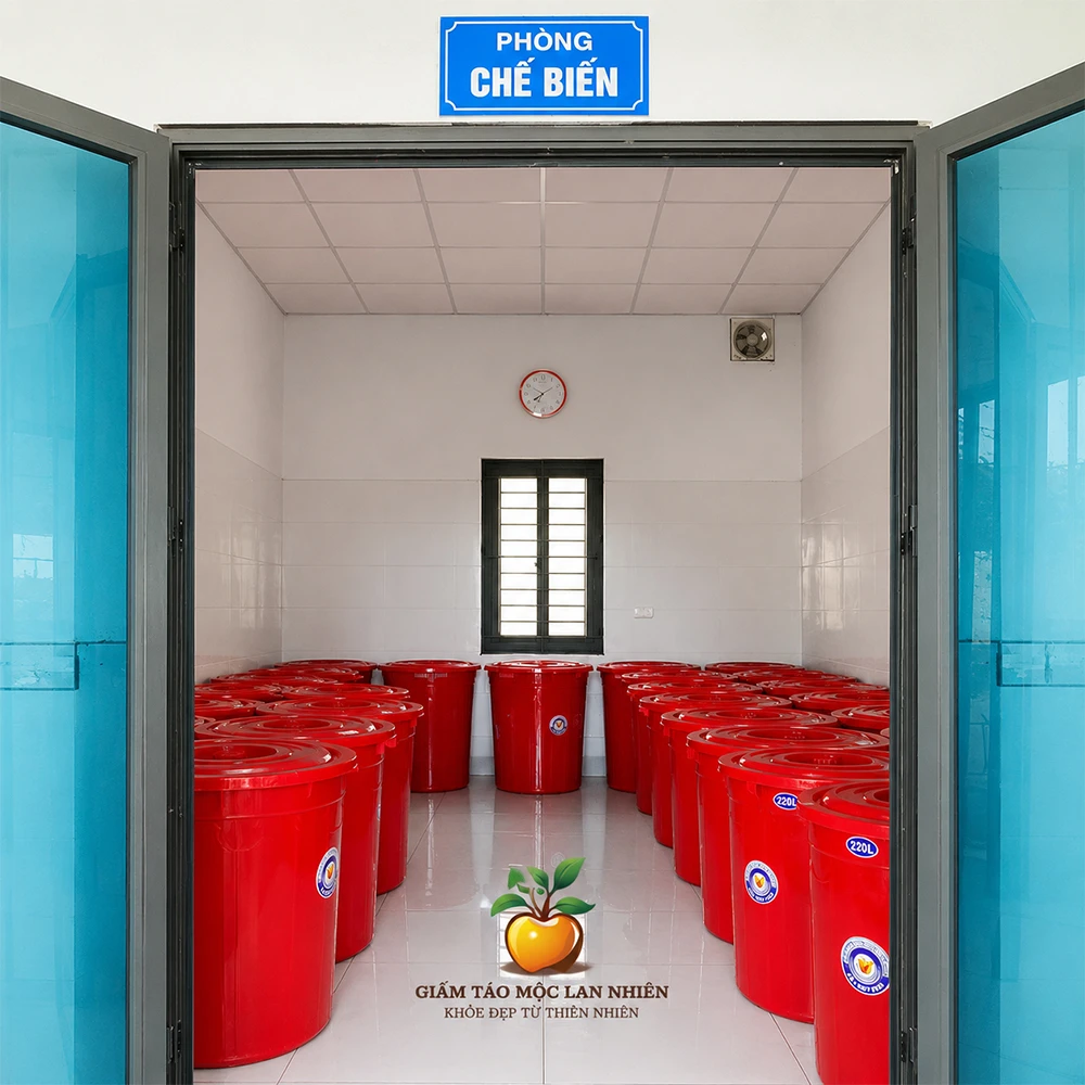 Bên trong khu vực sản xuất giấm táo mèo Mộc Lan Nhiên