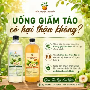 Uống giấm táo có hại thận không