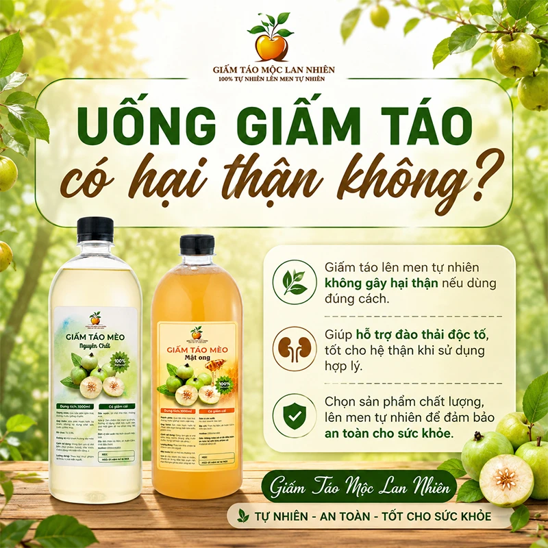 Uống giấm táo có hại thận không